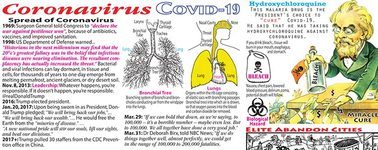 Coronavirus, Covid-19, Bronchial Tree, Trump, Hydroxychloroquine, Bleach